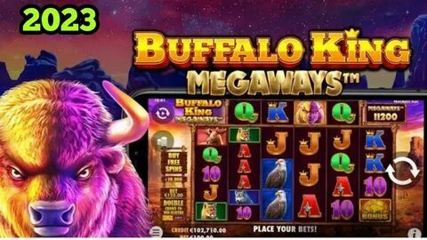 biz bet app 