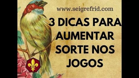 como analisar o gráfico do aviator 