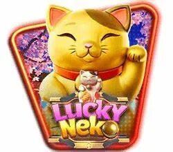 melhor bet para jogar fortune rabbit 