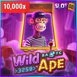 qual o melhor horário para se jogar fortune tiger 