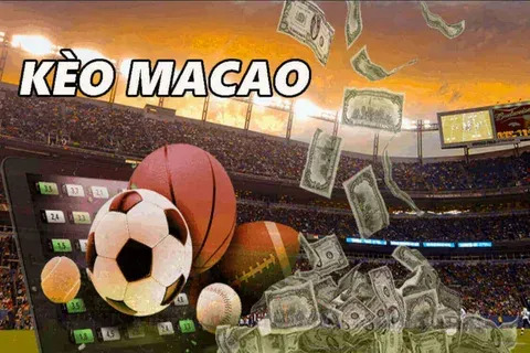 resultado jogo do bicho look de goiás 