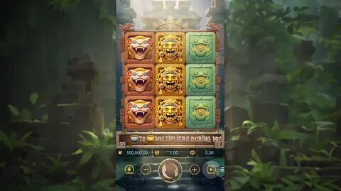 robo bet app 