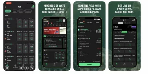 roleta da leitura 