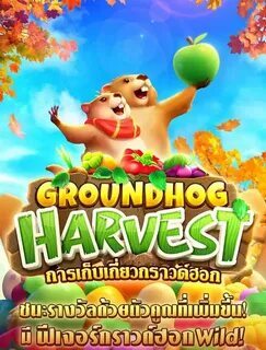 slots games online 